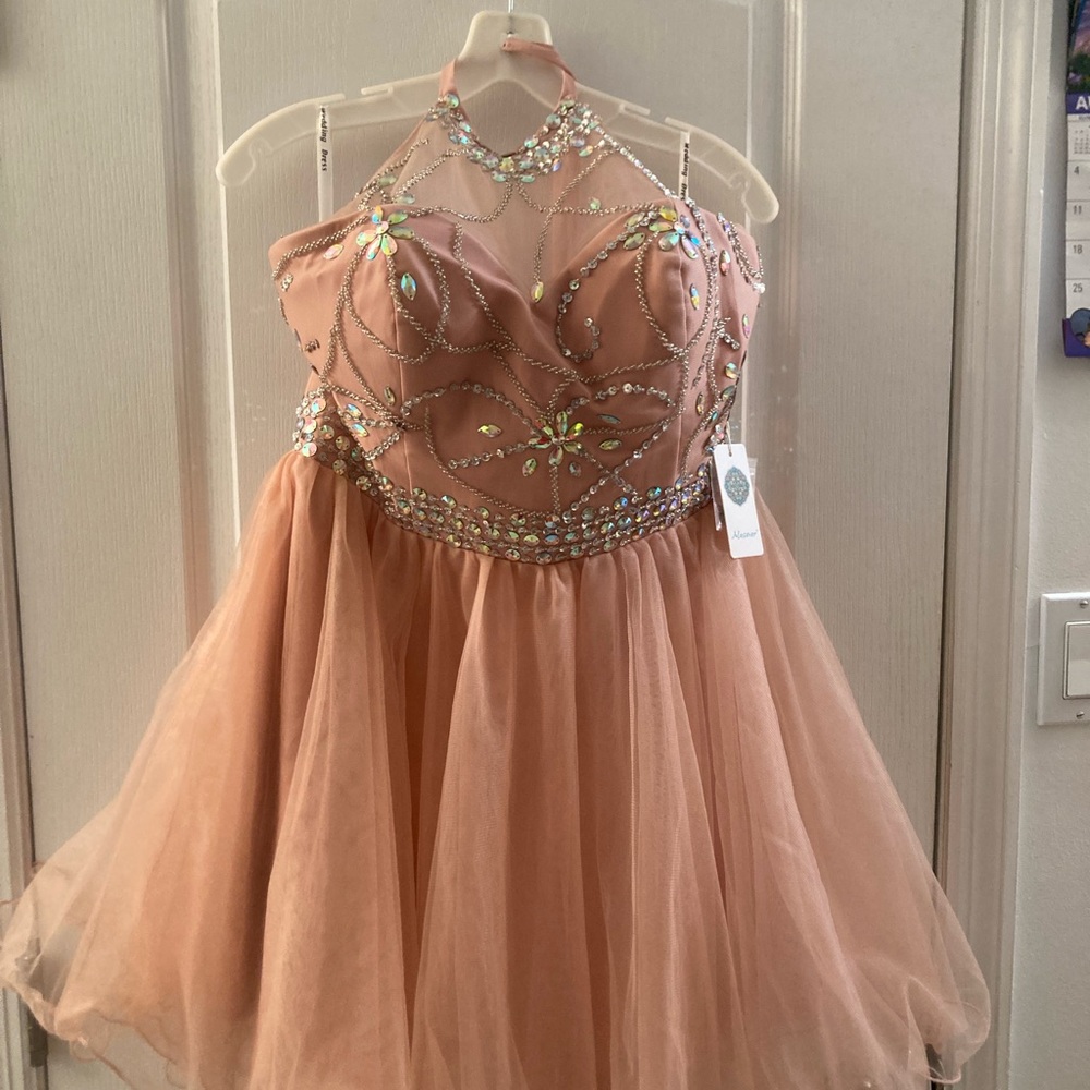 Homecoming Dusty Rose size 16 short  dress.